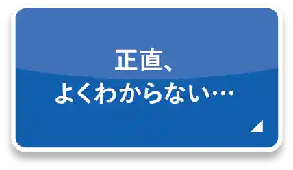 正直、よくわからない・・・